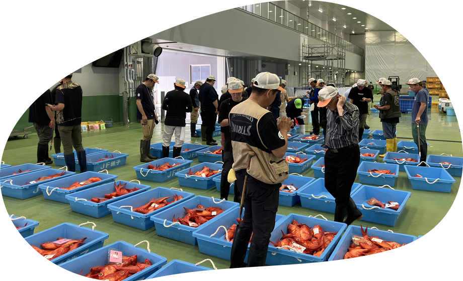 銚子市漁協写真