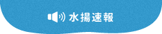 水揚速報